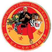 Pro Logo